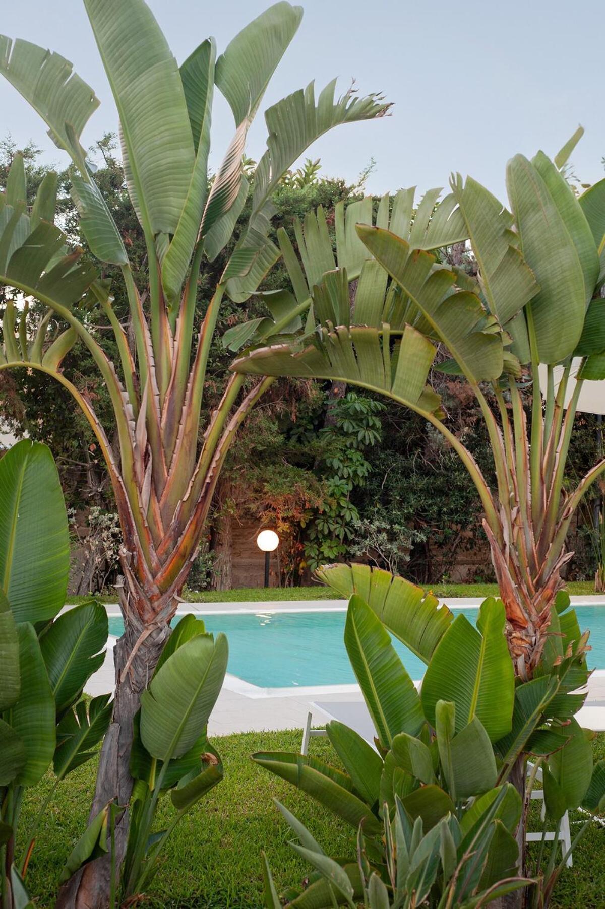 In Con Giardino Light Apartamento *